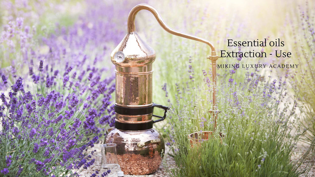 Essential oils Extraction - Use