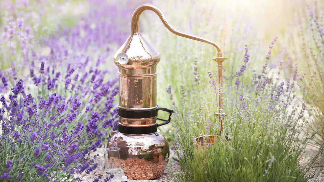 Essential oils Extraction - Use