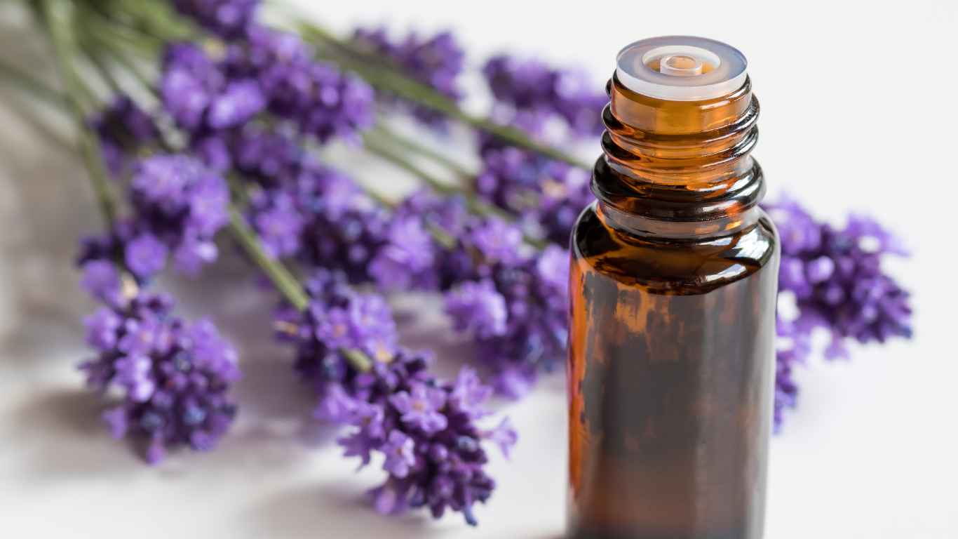 Essential oils and the sense of smell