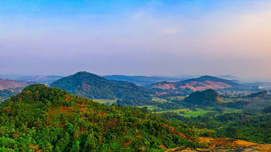 Luxury Trend in Latin America Part 1